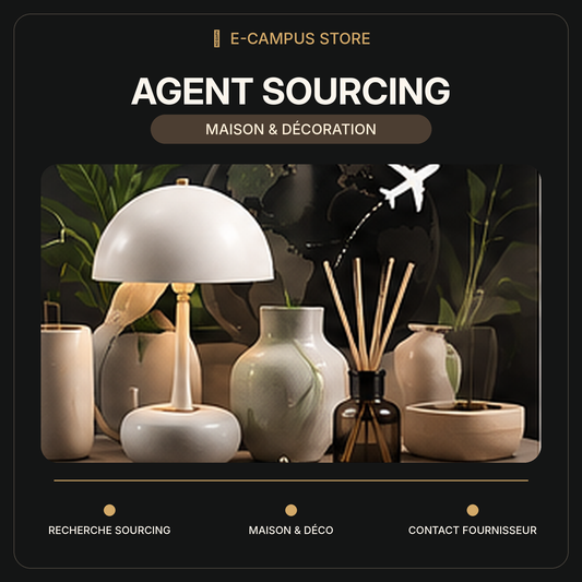 agent-maison
